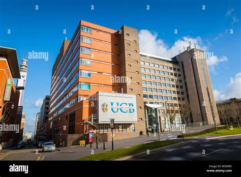 IT at University College Birmingham.